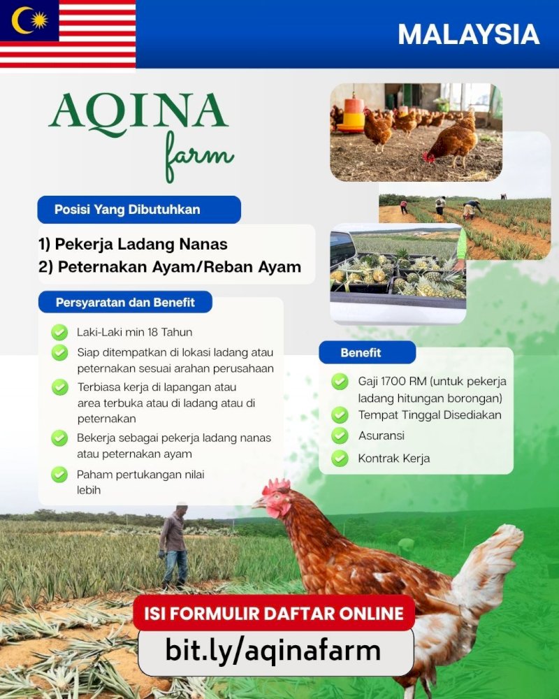 Peternakan Ayam dan Ladang Nanas Malaysia