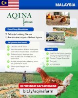 Peternakan Ayam dan Ladang Nanas Malaysia